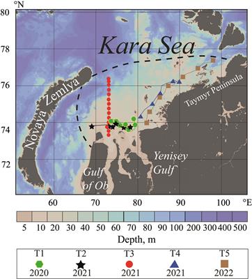 Structure of the Ob-Yenisei plume in the Kara Sea shortly before autumn ice formation